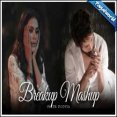 Breakup Mashup 2024 - Parth Dodiya Mp3